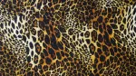 Animal Skin 001