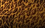 Animal Skin 002