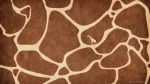 Animal Skin 031